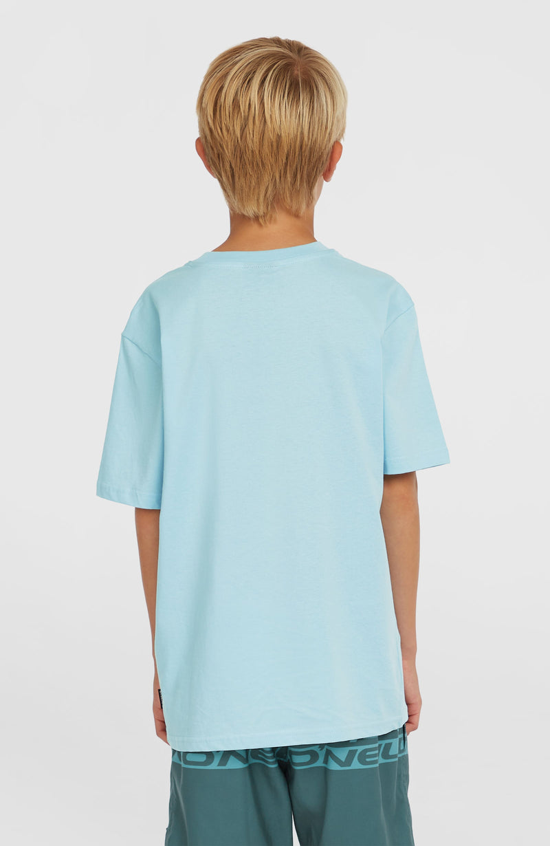 Oneill Kids Graphic T-Shirt | Blue