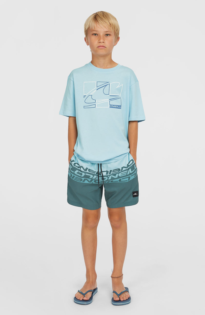 Oneill Kids Graphic T-Shirt | Blue