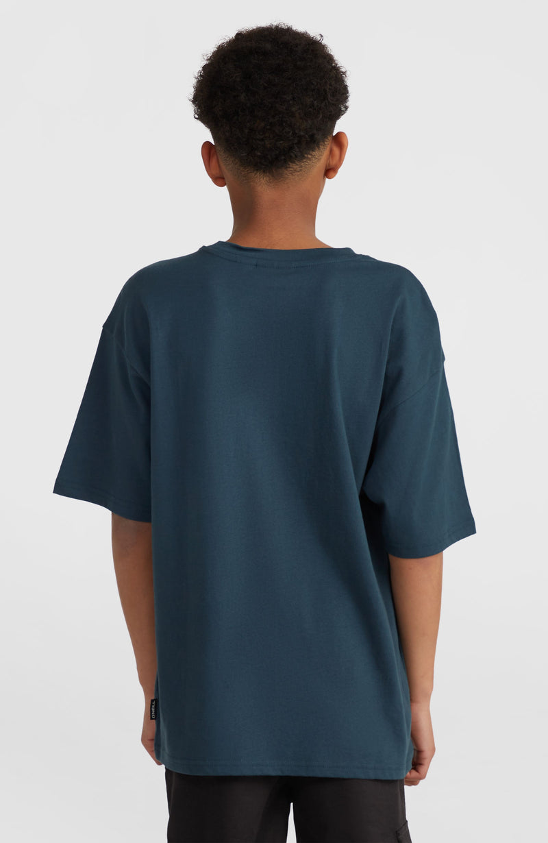 Oneill Kids Graphic T-Shirt | Blue