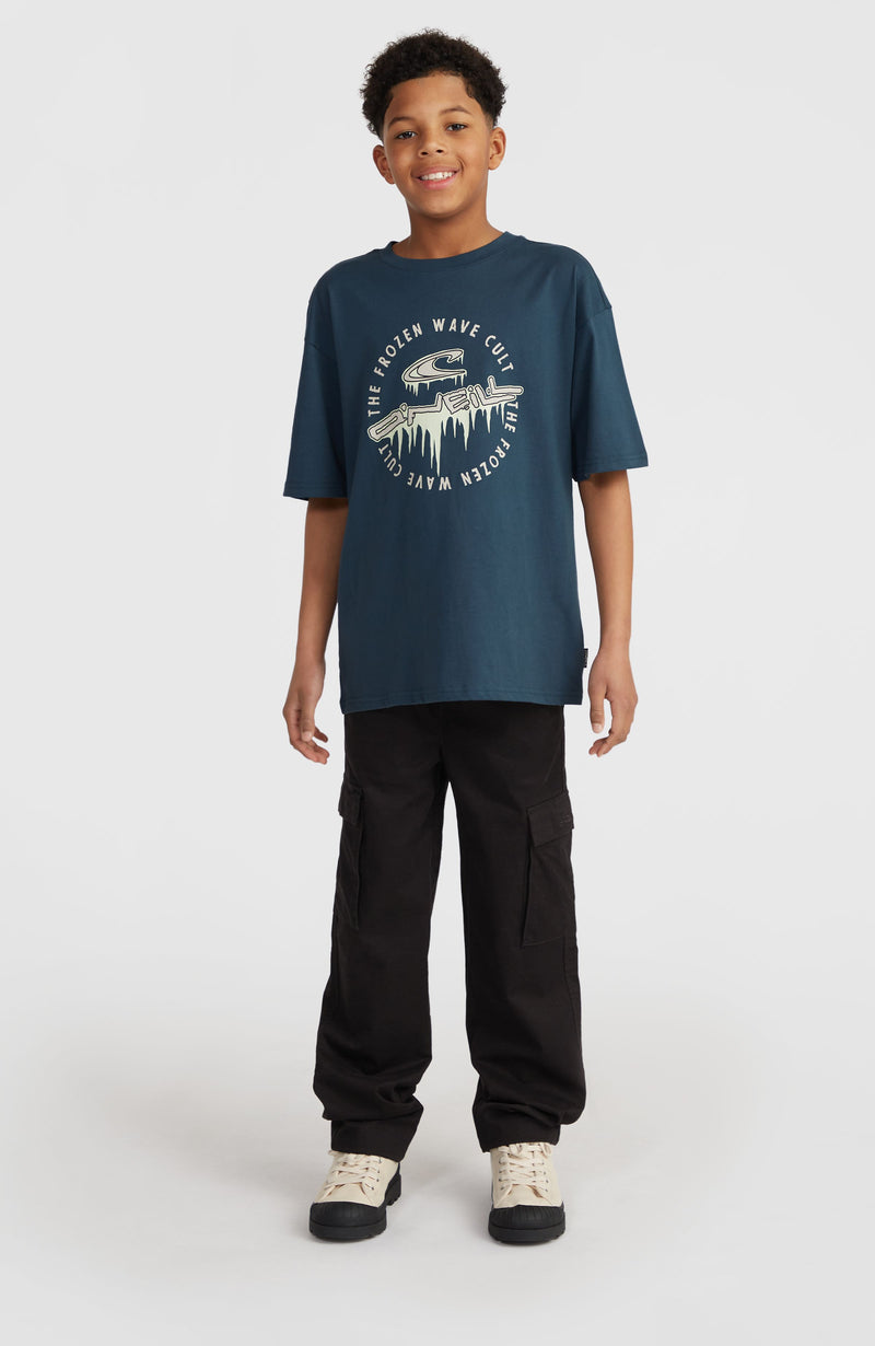 Oneill Kids Graphic T-Shirt | Blue