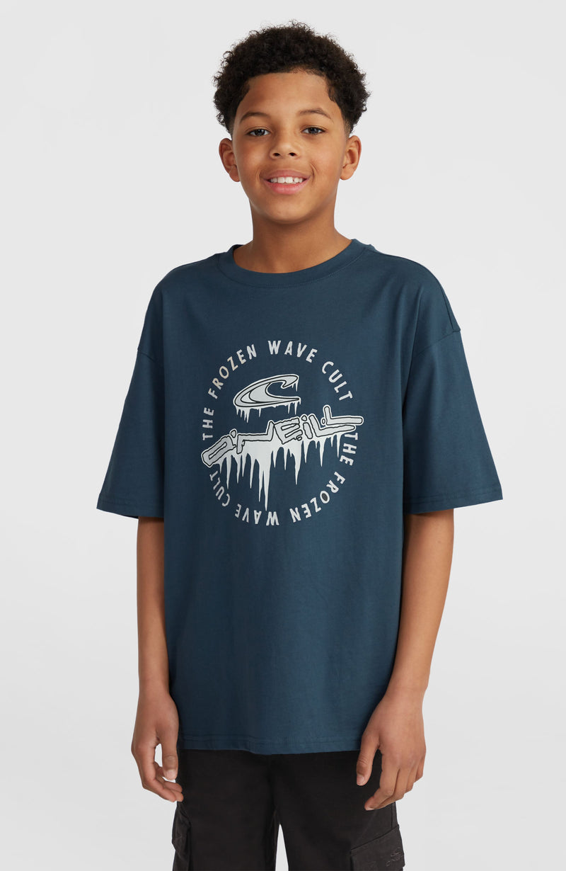 oneill Kids Graphic T-Shirt | Blue