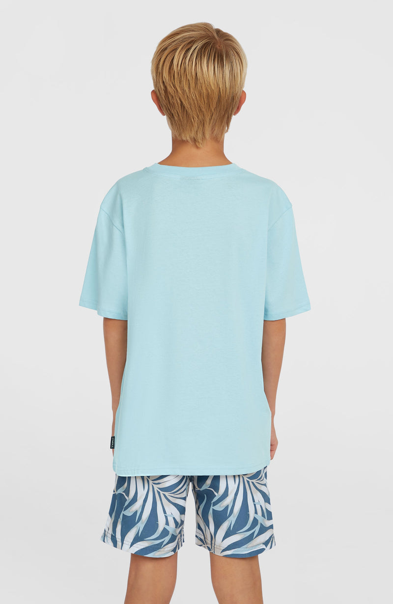 Oneill Kids Jack O'Neill Muir T-Shirt | Blue