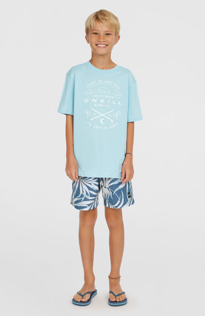 Oneill Kids Jack O'Neill Muir T-Shirt | Blue
