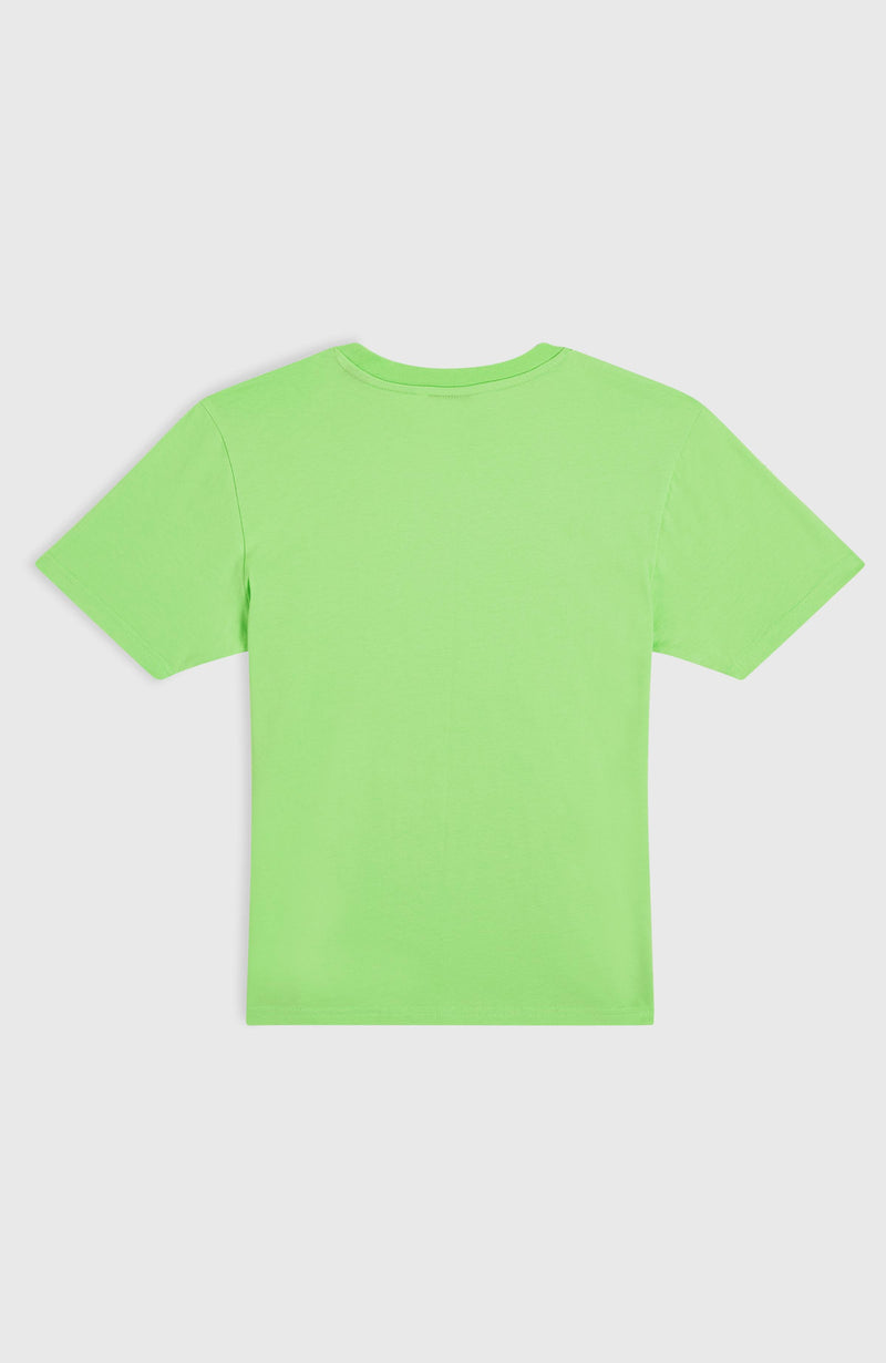Oneill Kids Jack O'Neill Muir T-Shirt | Green