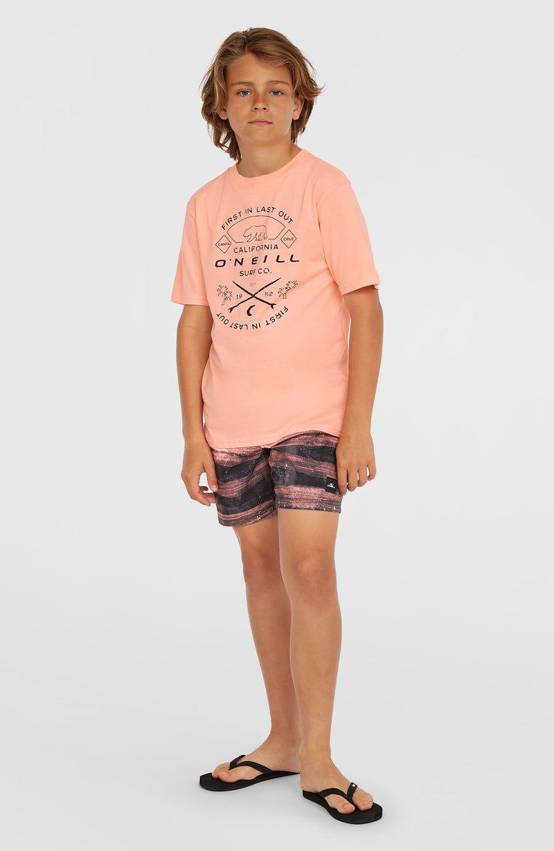 Oneill Kids Jack O'Neill Muir T-Shirt | Pink