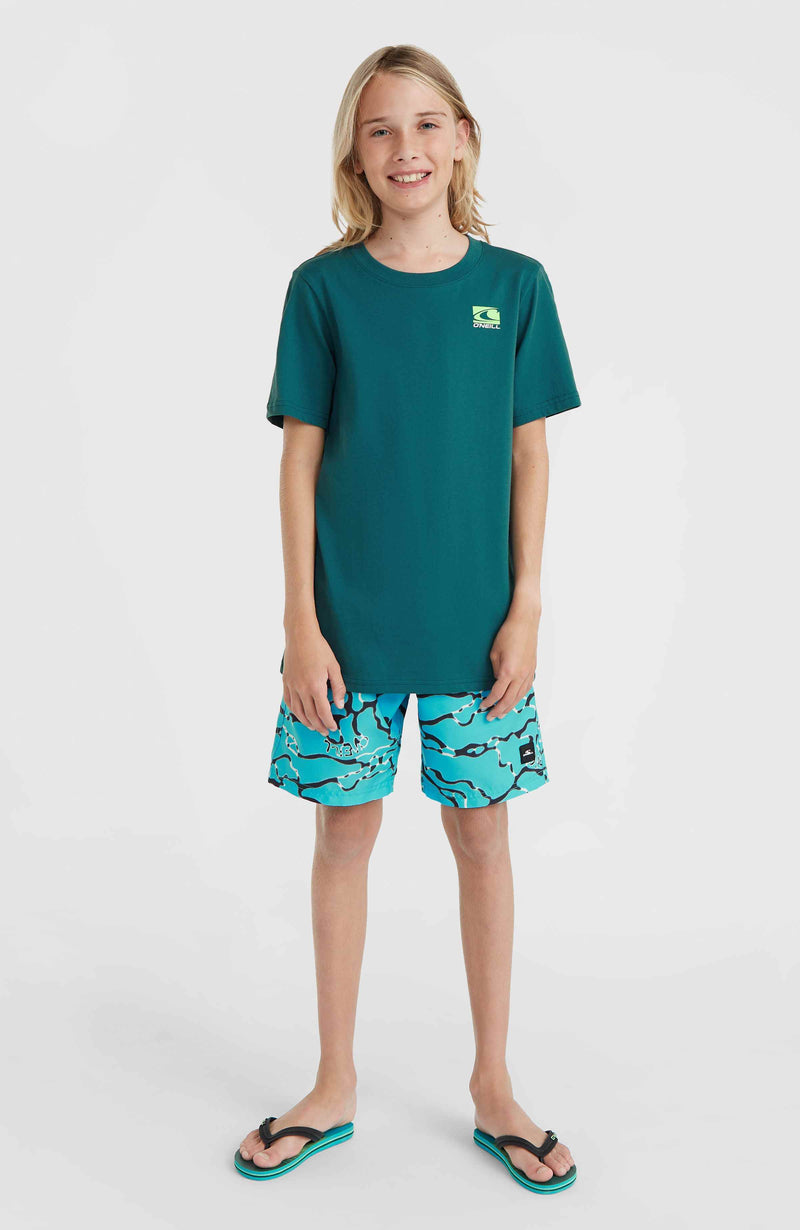 Oneill Kids Jack O'Neill T-Shirt | Green