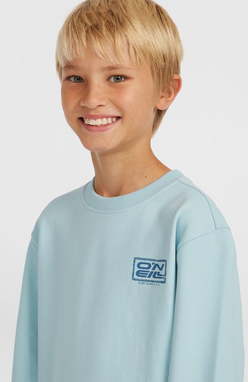 Oneill Kids Logo Crew Sweatshirt | Blue
