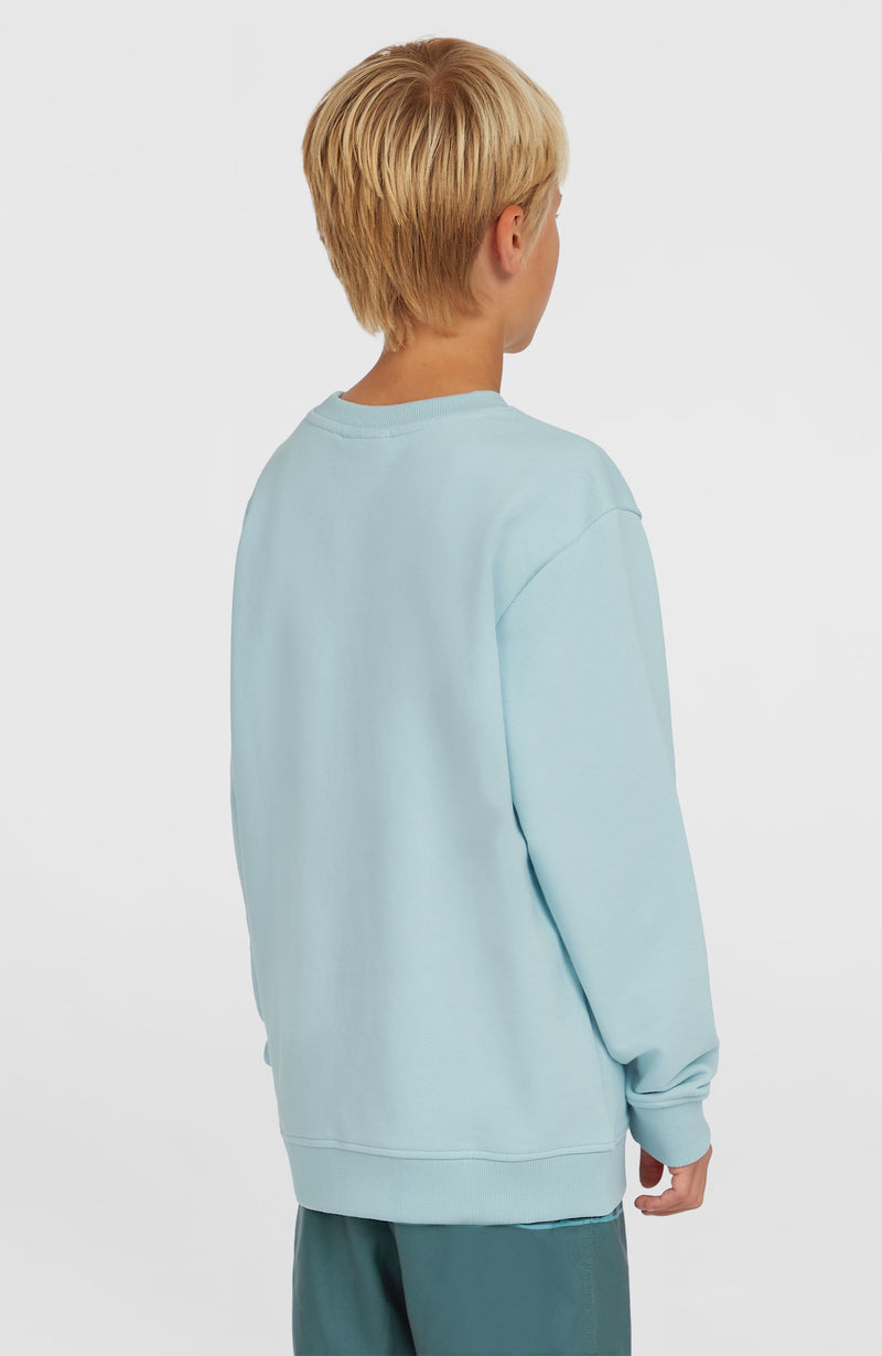 Oneill Kids Logo Crew Sweatshirt | Blue