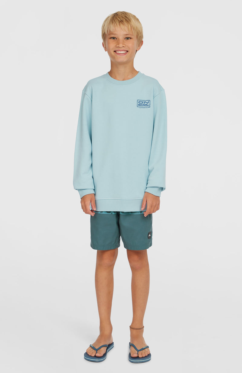 Oneill Kids Logo Crew Sweatshirt | Blue