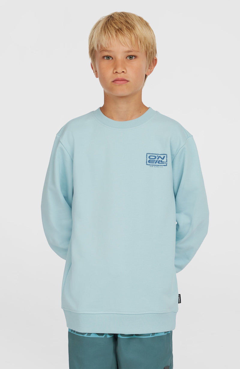 oneill Kids Logo Crew Sweatshirt | Blue