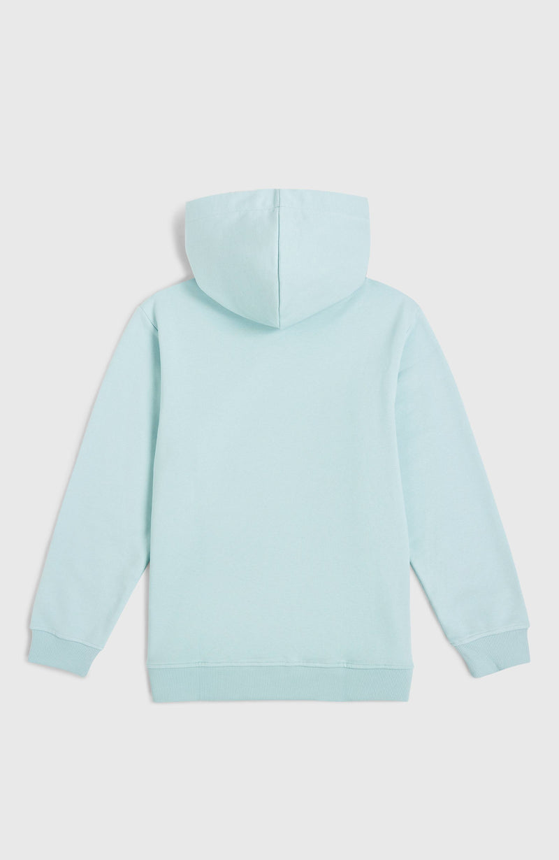 Oneill Kids Logo Hoodie | Blue