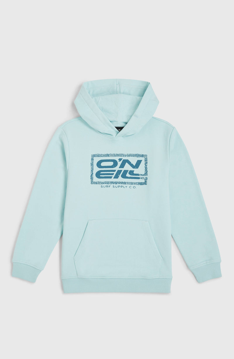 Oneill Kids Logo Hoodie | Blue