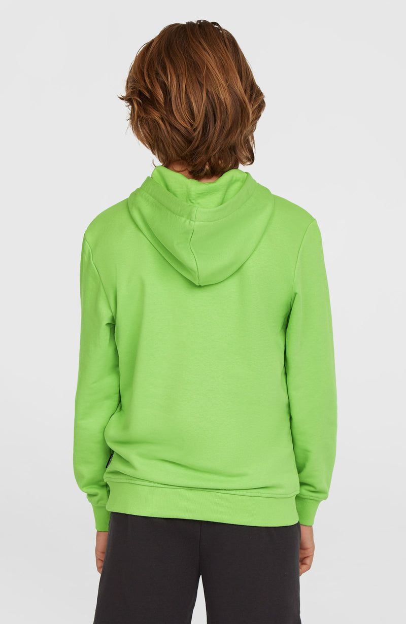 Oneill Kids Logo Hoodie | Green