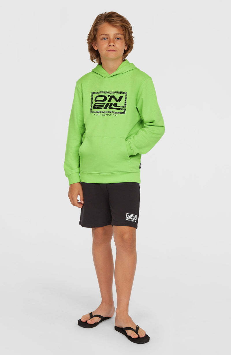 Oneill Kids Logo Hoodie | Green