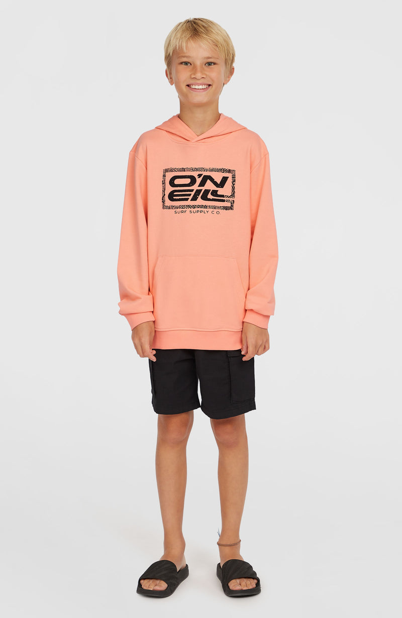 Oneill Kids Logo Hoodie | Pink