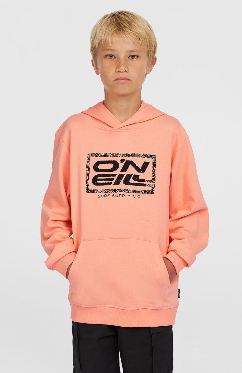 oneill Kids Logo Hoodie | Pink