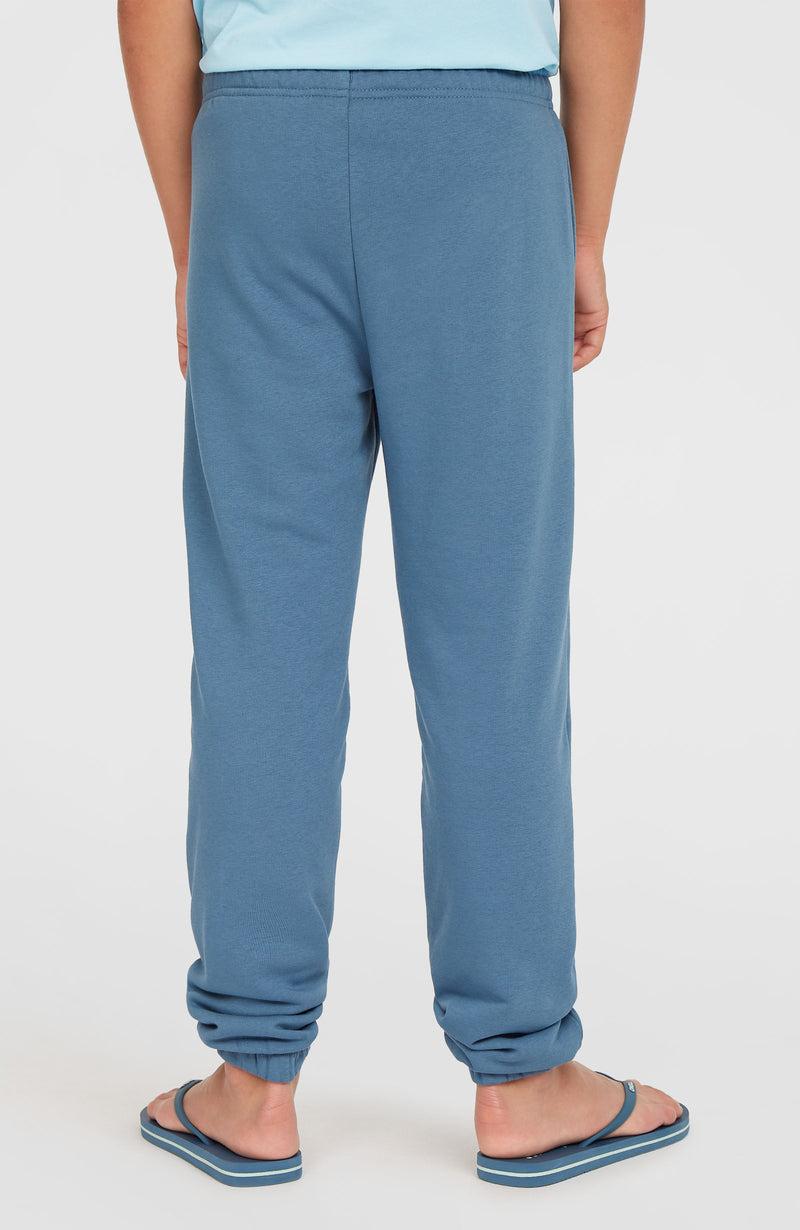Oneill Kids Logo Sweatpants | Blue