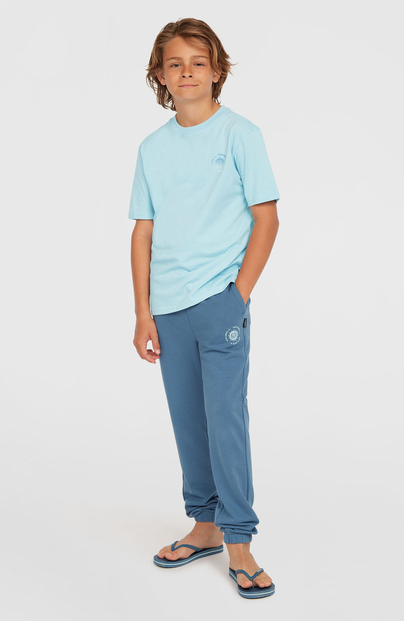 oneill Kids Logo Sweatpants | Blue