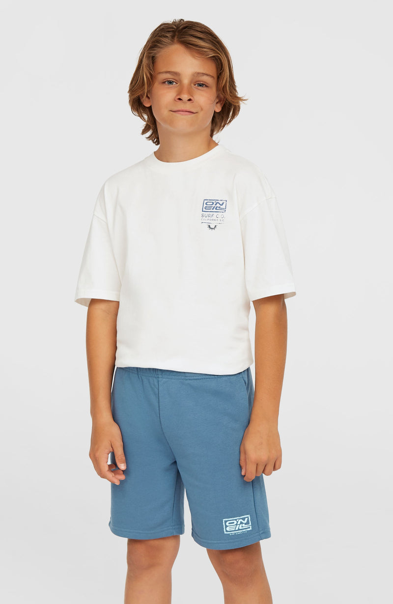 Oneill Kids Logo Sweatshorts | Blue