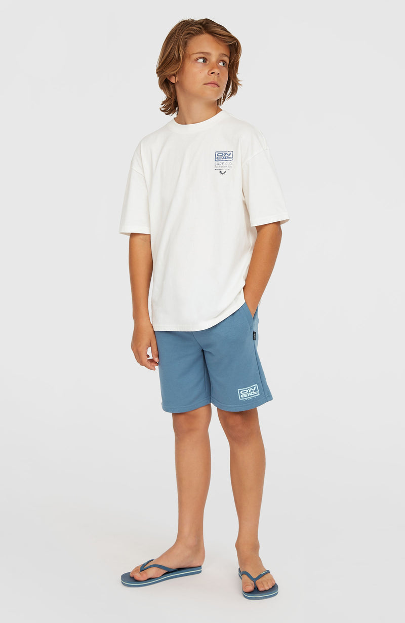 Oneill Kids Logo Sweatshorts | Blue