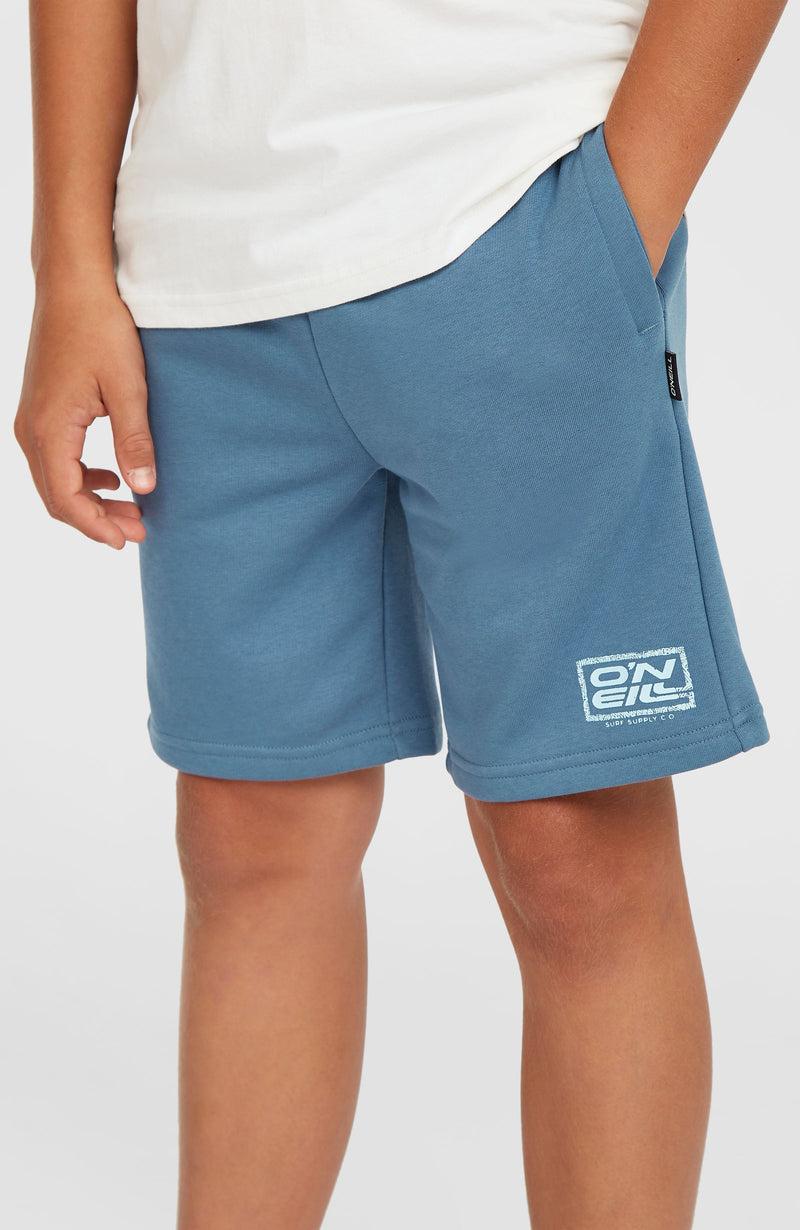 oneill Kids Logo Sweatshorts | Blue