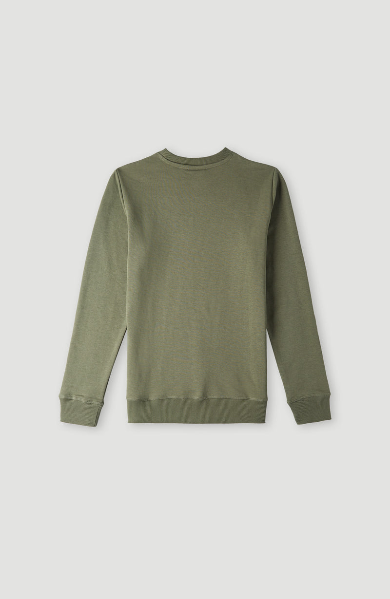 Oneill Kids O'Neill Logo Crew Sweatshirt | Green