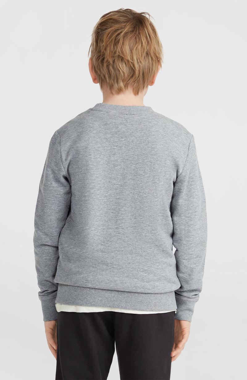 Oneill Kids O'Neill Logo Crew Sweatshirt | Grey