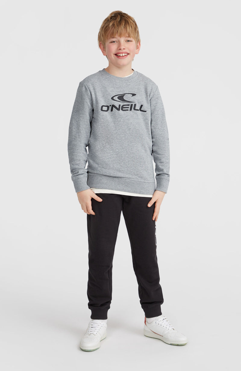 Oneill Kids O'Neill Logo Crew Sweatshirt | Grey