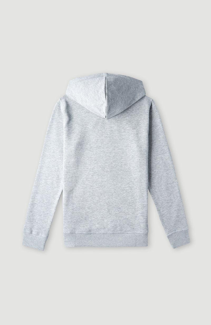 Oneill Kids O'Neill Logo Hoodie | Grey
