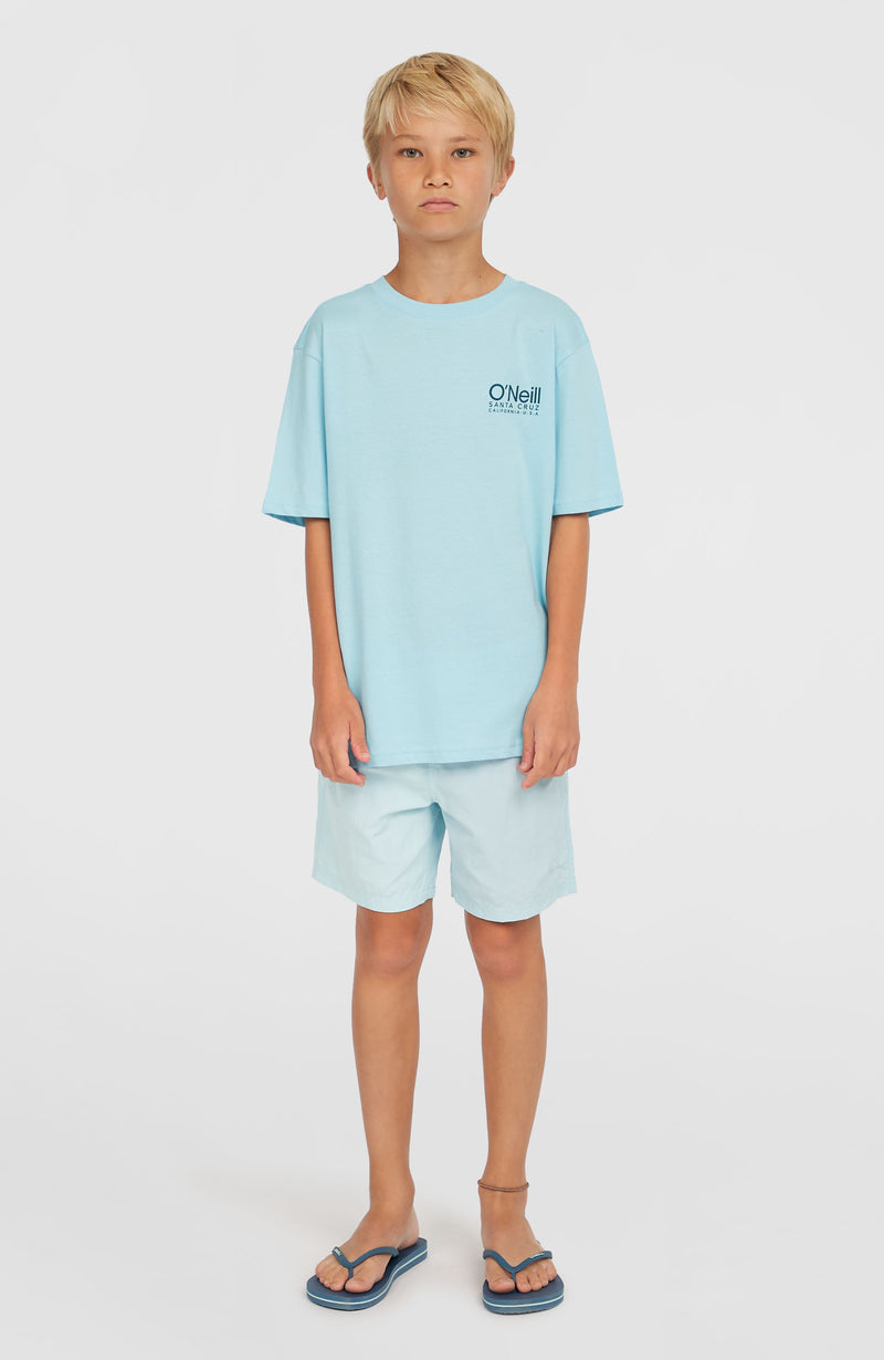 Oneill Kids Original Cali Logo T-Shirt | Blue