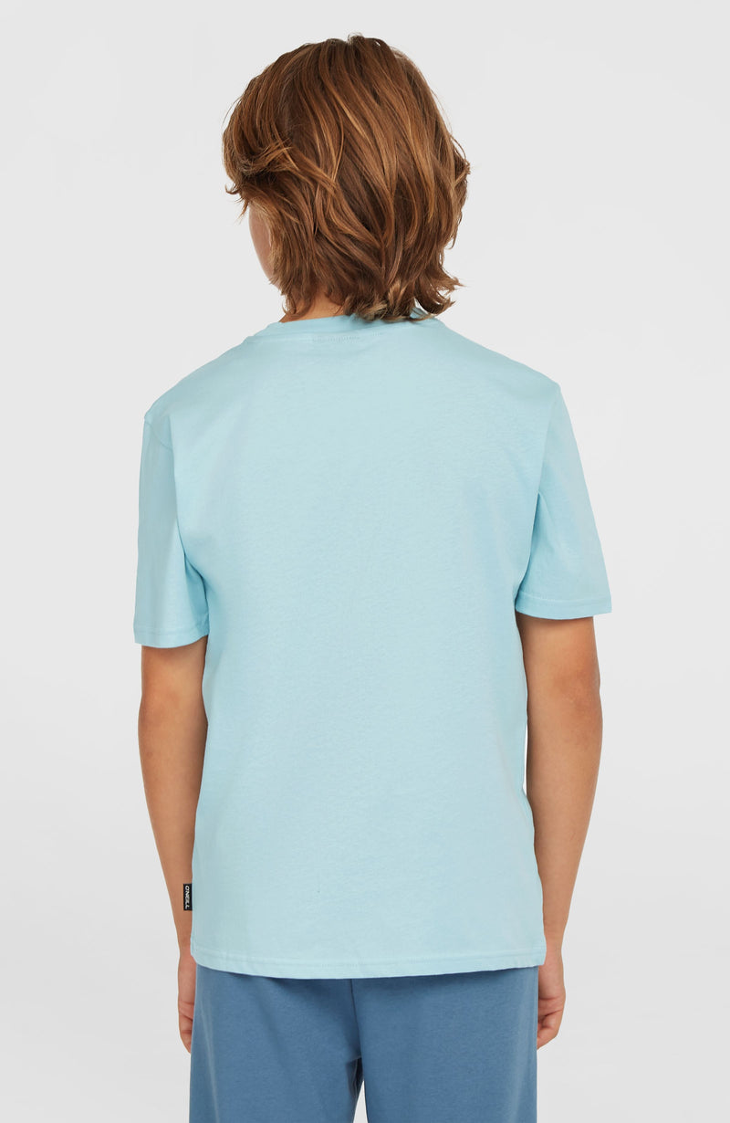 Oneill Kids Small Graphic T-Shirt | Blue