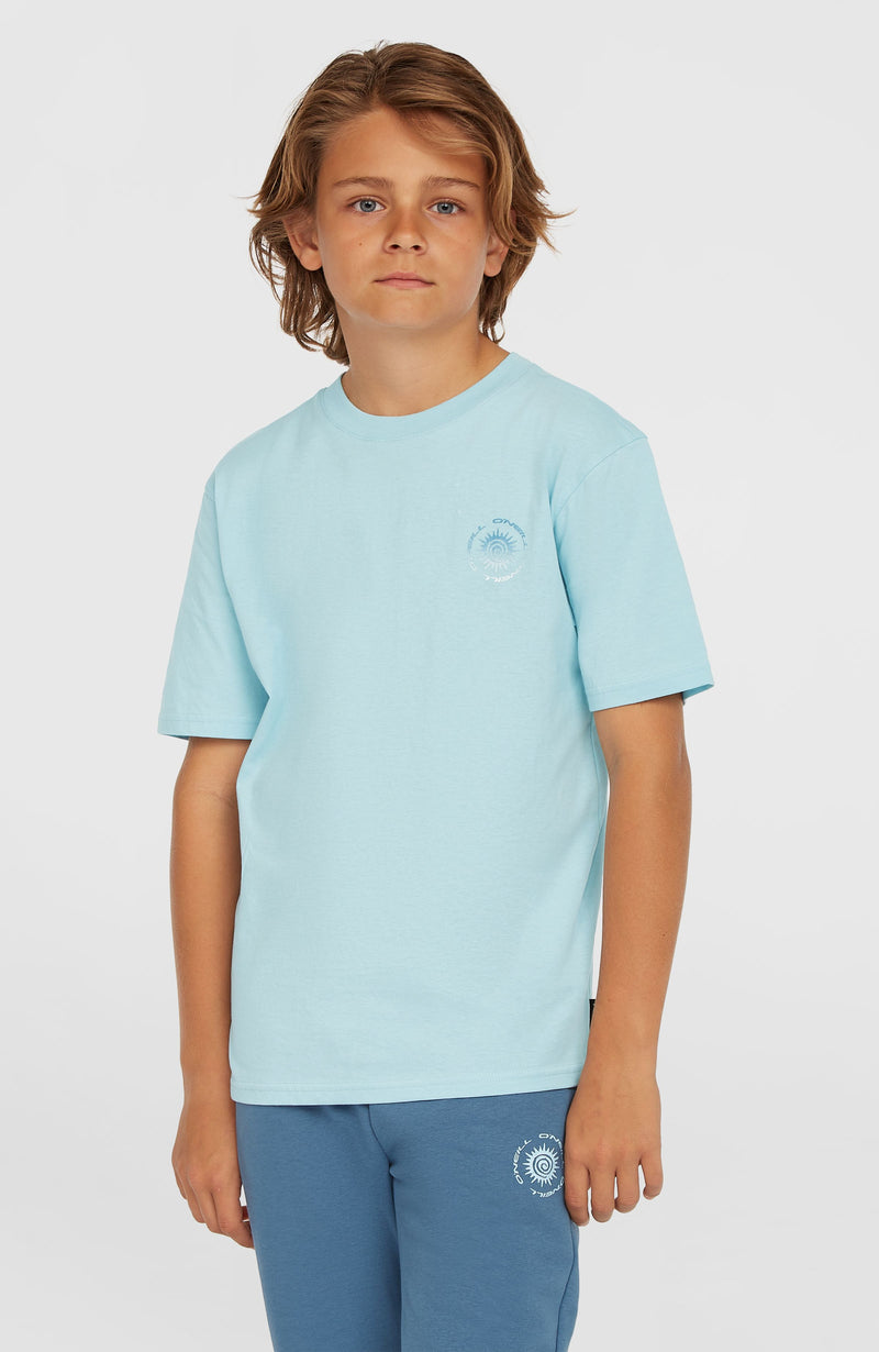 oneill Kids Small Graphic T-Shirt | Blue