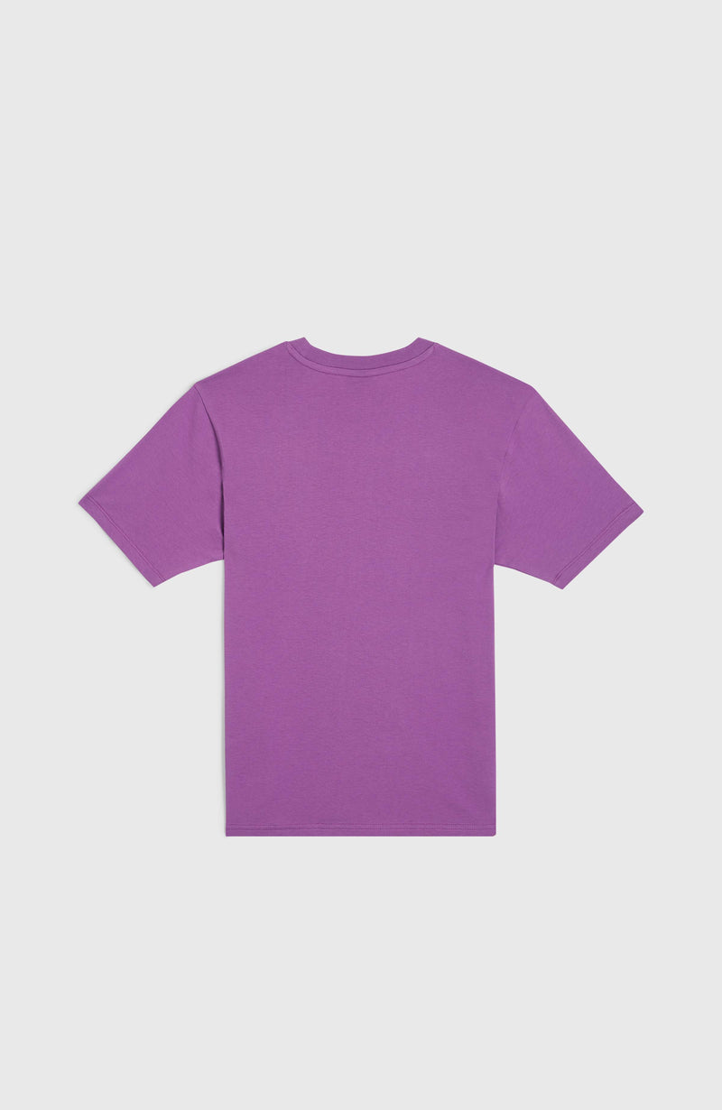Oneill Kids Small Graphic T-Shirt | Purple