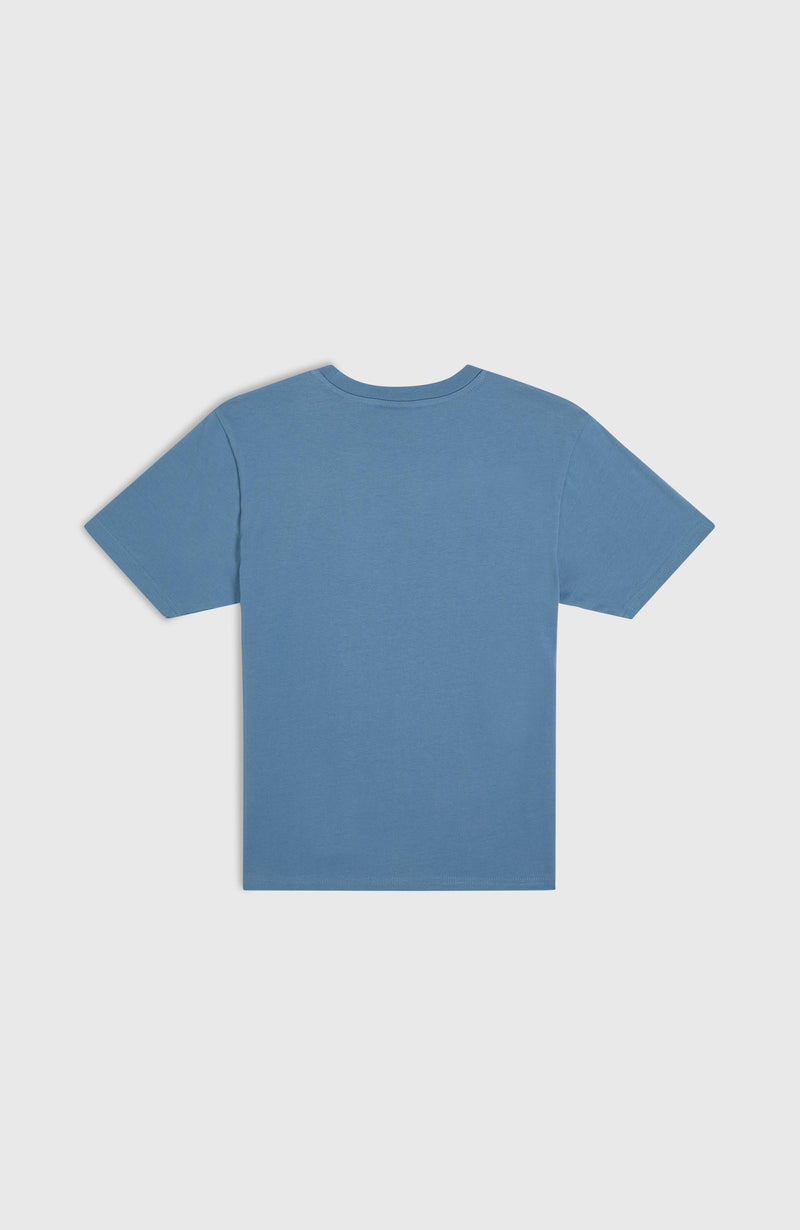 Oneill Kids Stripe T-Shirt | Blue