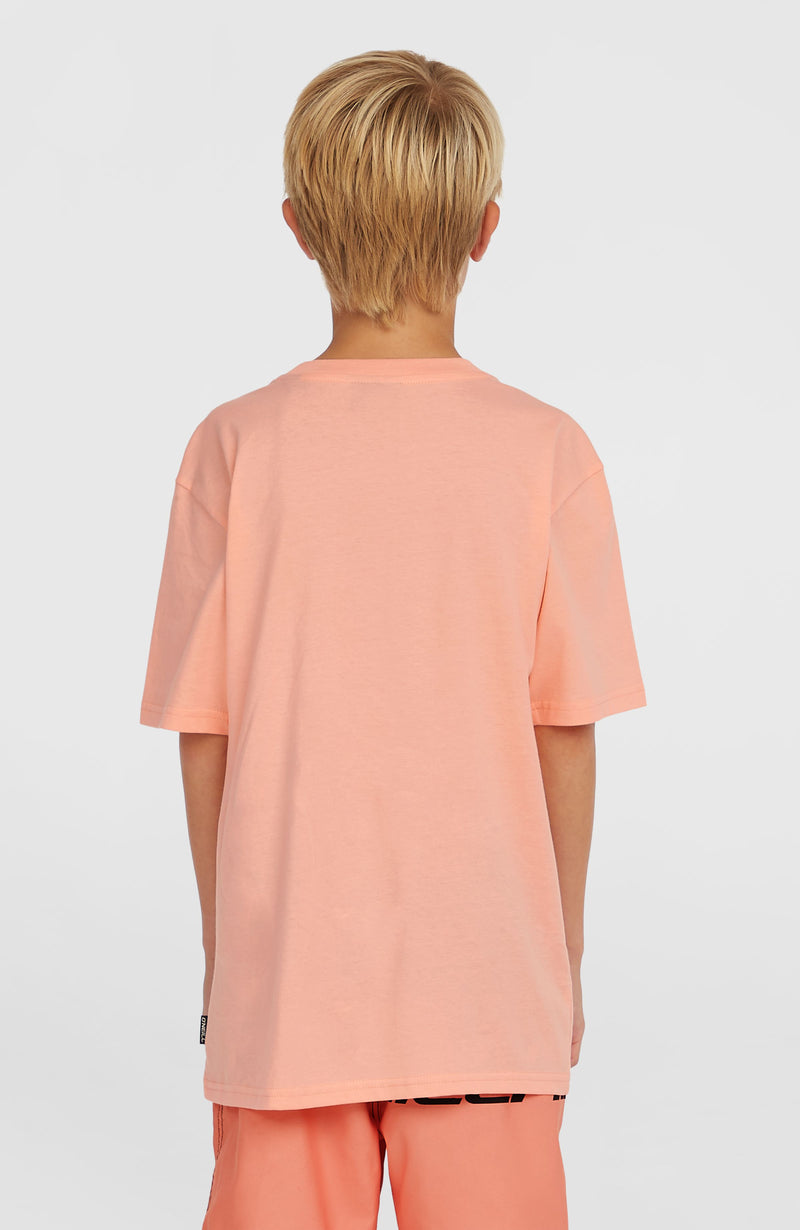 Oneill Kids Stripe T-Shirt | Pink