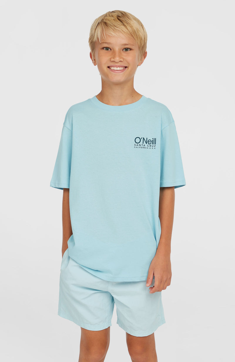 Oneill Kids Vert 14'' Swim Shorts | Blue