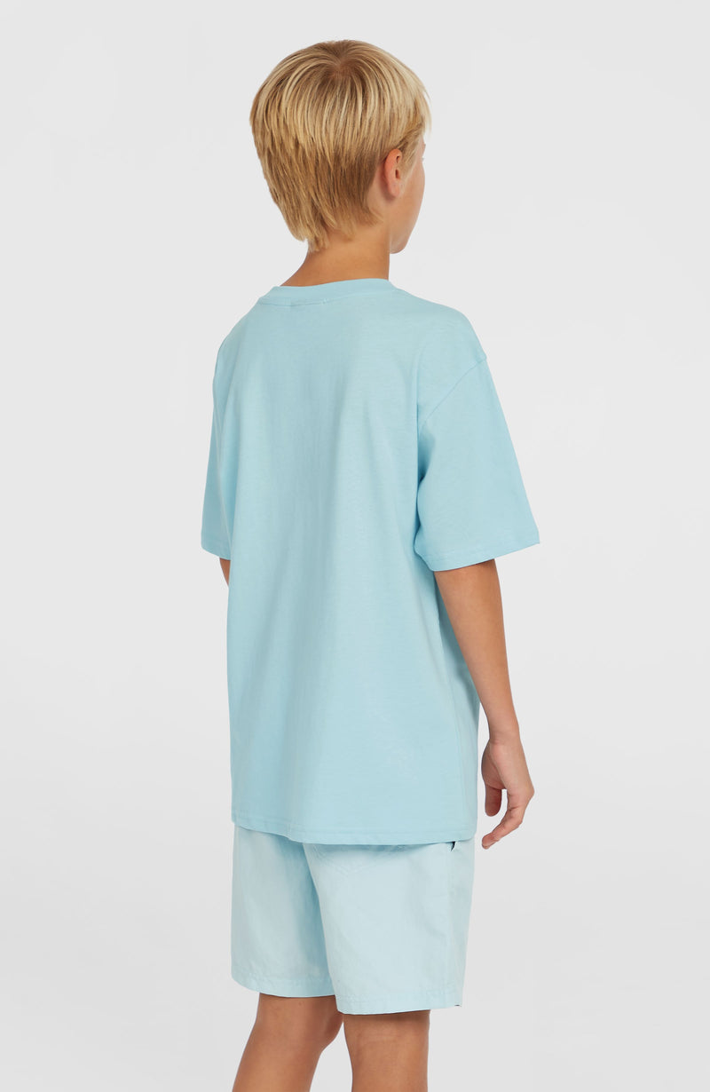 Oneill Kids Vert 14'' Swim Shorts | Blue