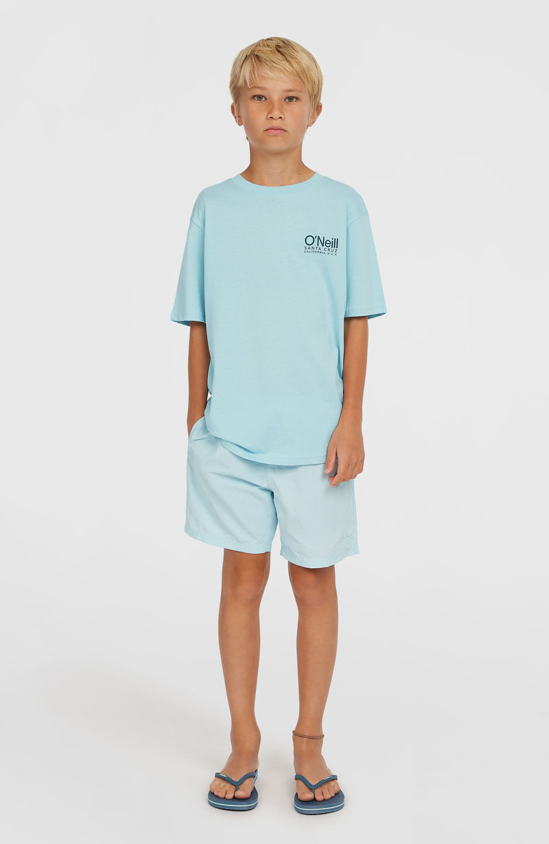 Oneill Kids Vert 14'' Swim Shorts | Blue