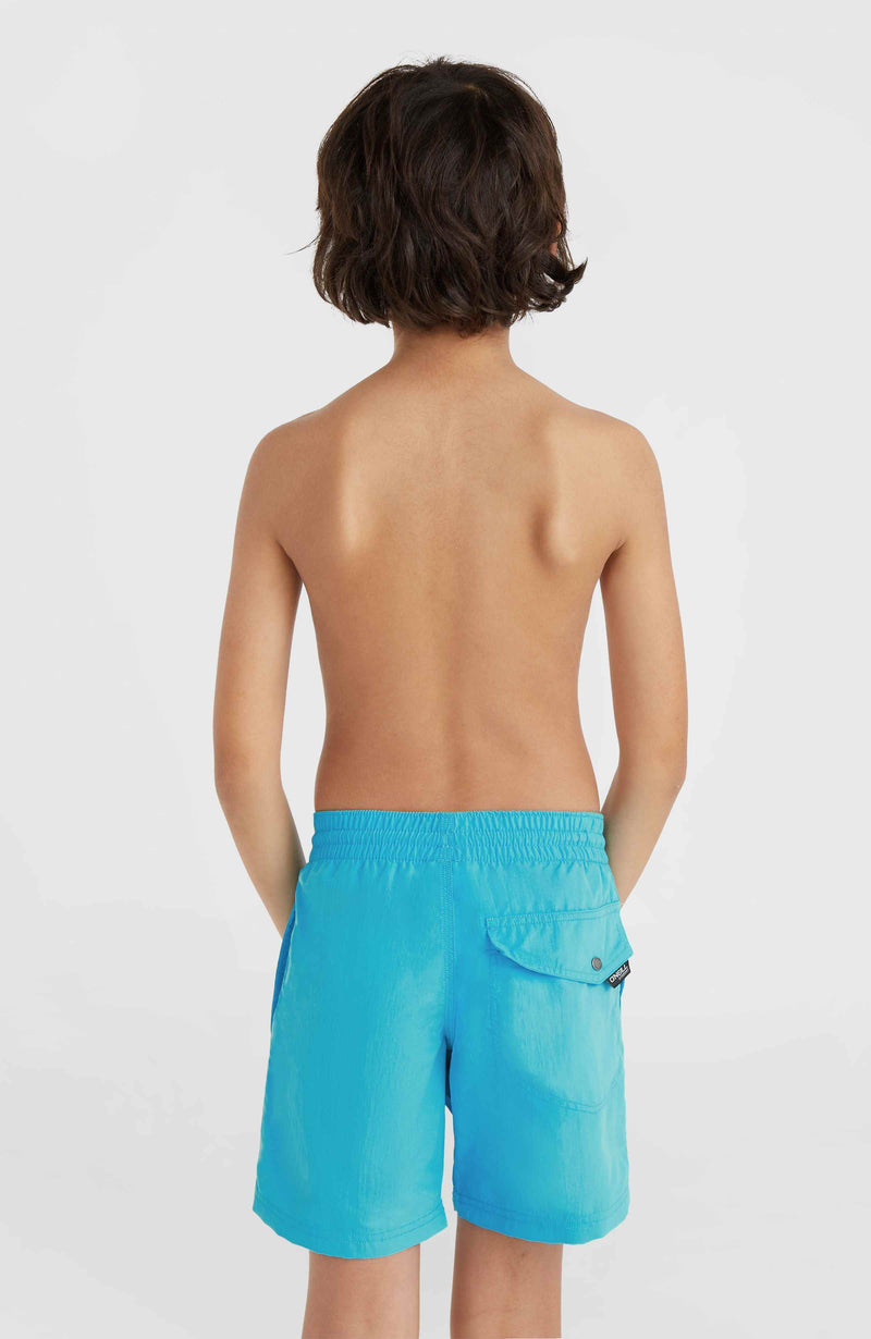 Oneill Kids Vert 14'' Swim Shorts | Blue