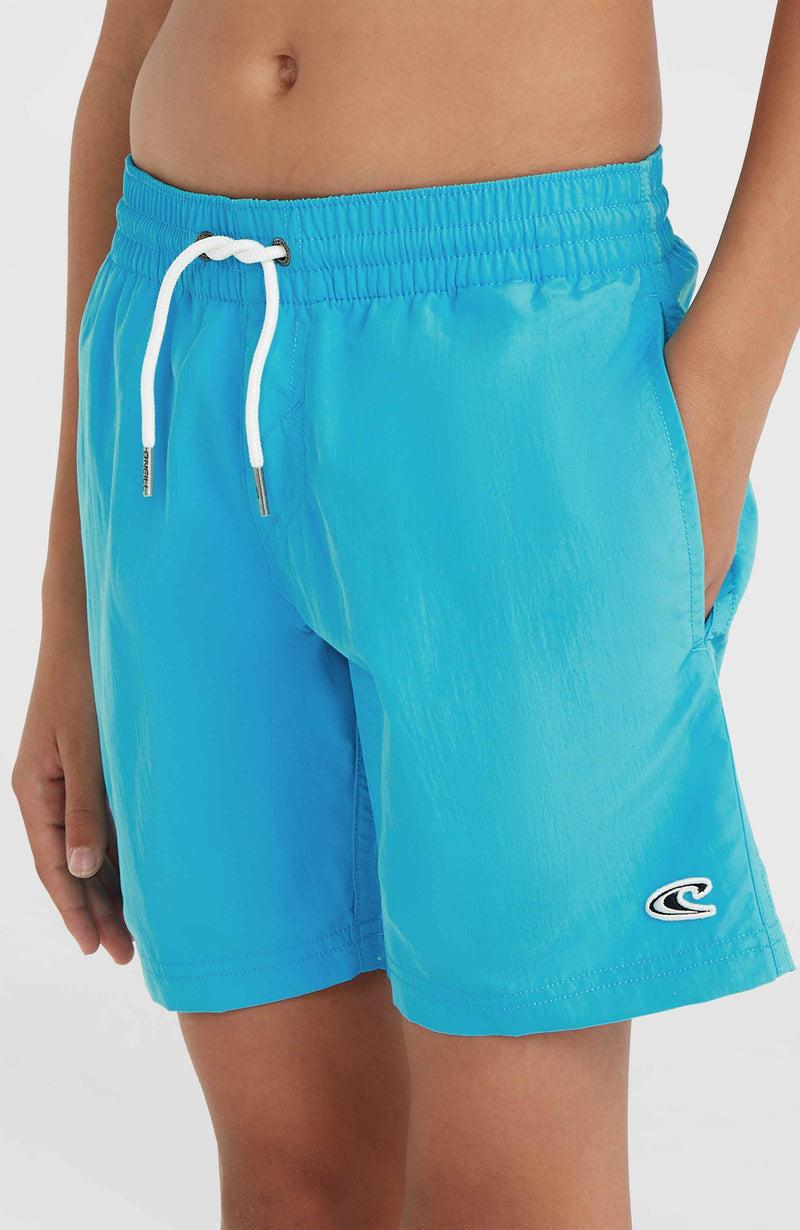 Oneill Kids Vert 14'' Swim Shorts | Blue