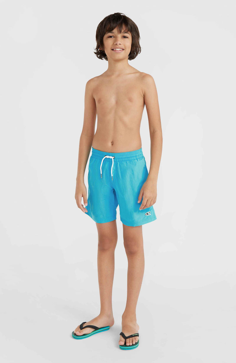 Oneill Kids Vert 14'' Swim Shorts | Blue
