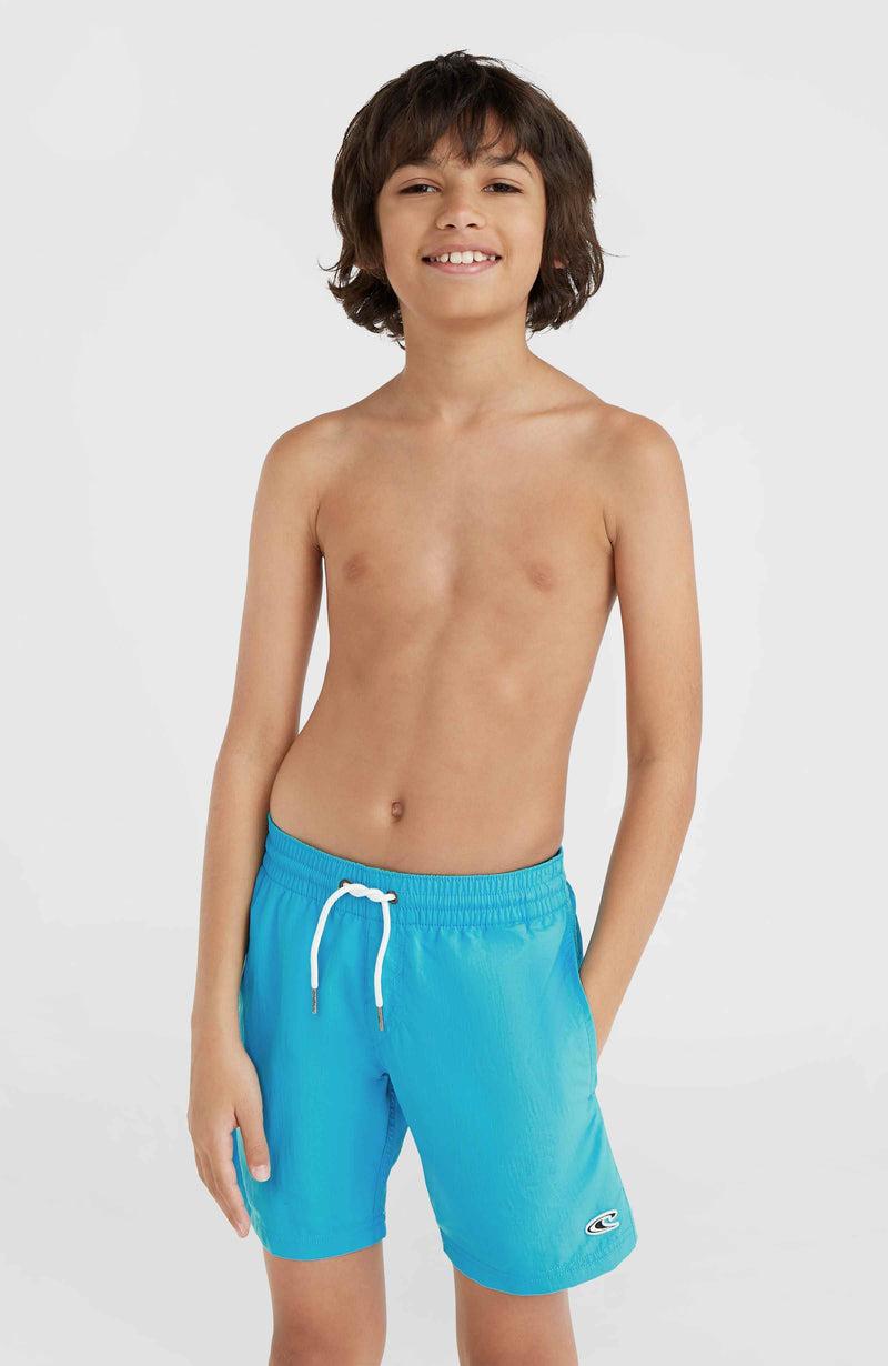 oneill Kids Vert 14'' Swim Shorts | Blue