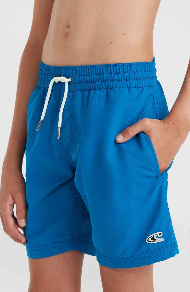 Oneill Kids Vert 14'' Swim Shorts | Blue