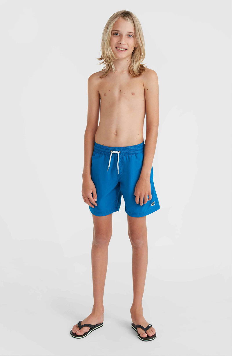 Oneill Kids Vert 14'' Swim Shorts | Blue