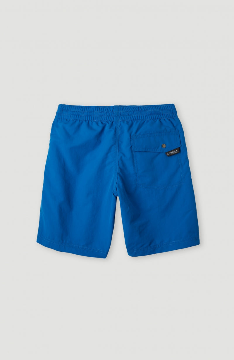 Oneill Kids Vert 14'' Swim Shorts | Blue