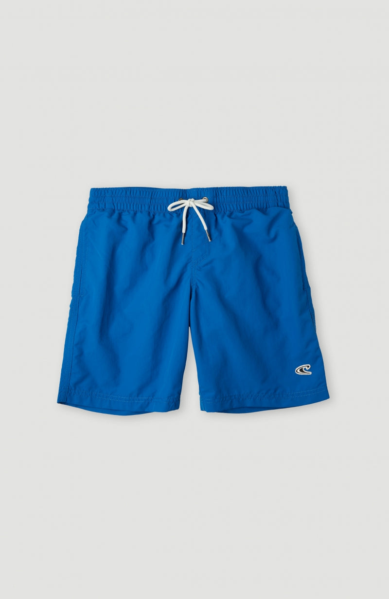 Oneill Kids Vert 14'' Swim Shorts | Blue