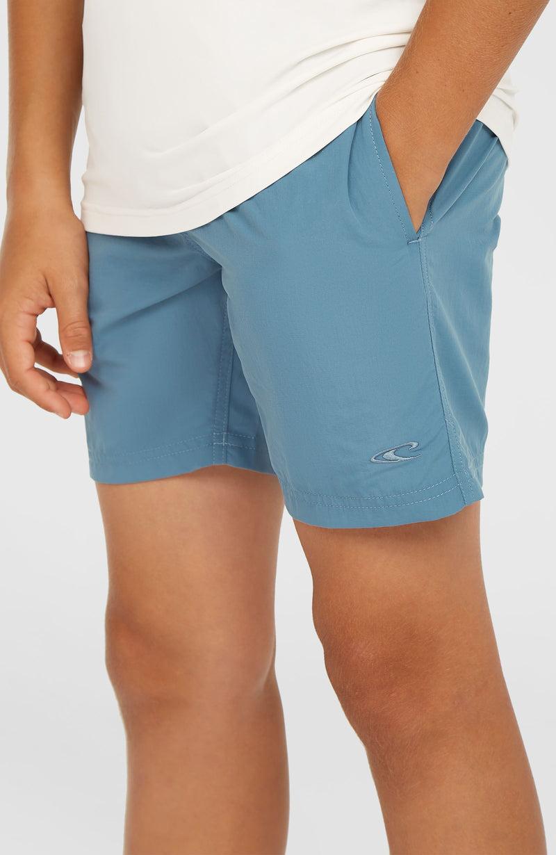 oneill Kids Vert 14'' Swim Shorts | Blue