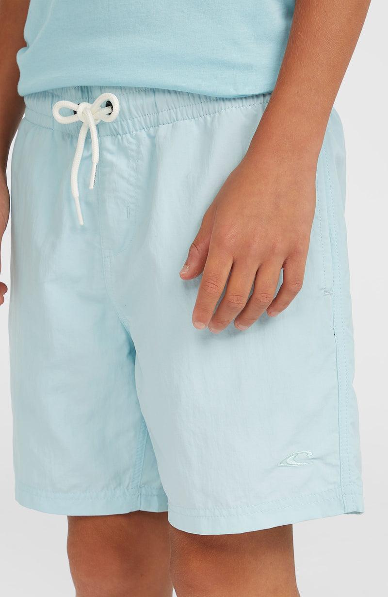 oneill Kids Vert 14'' Swim Shorts | Blue