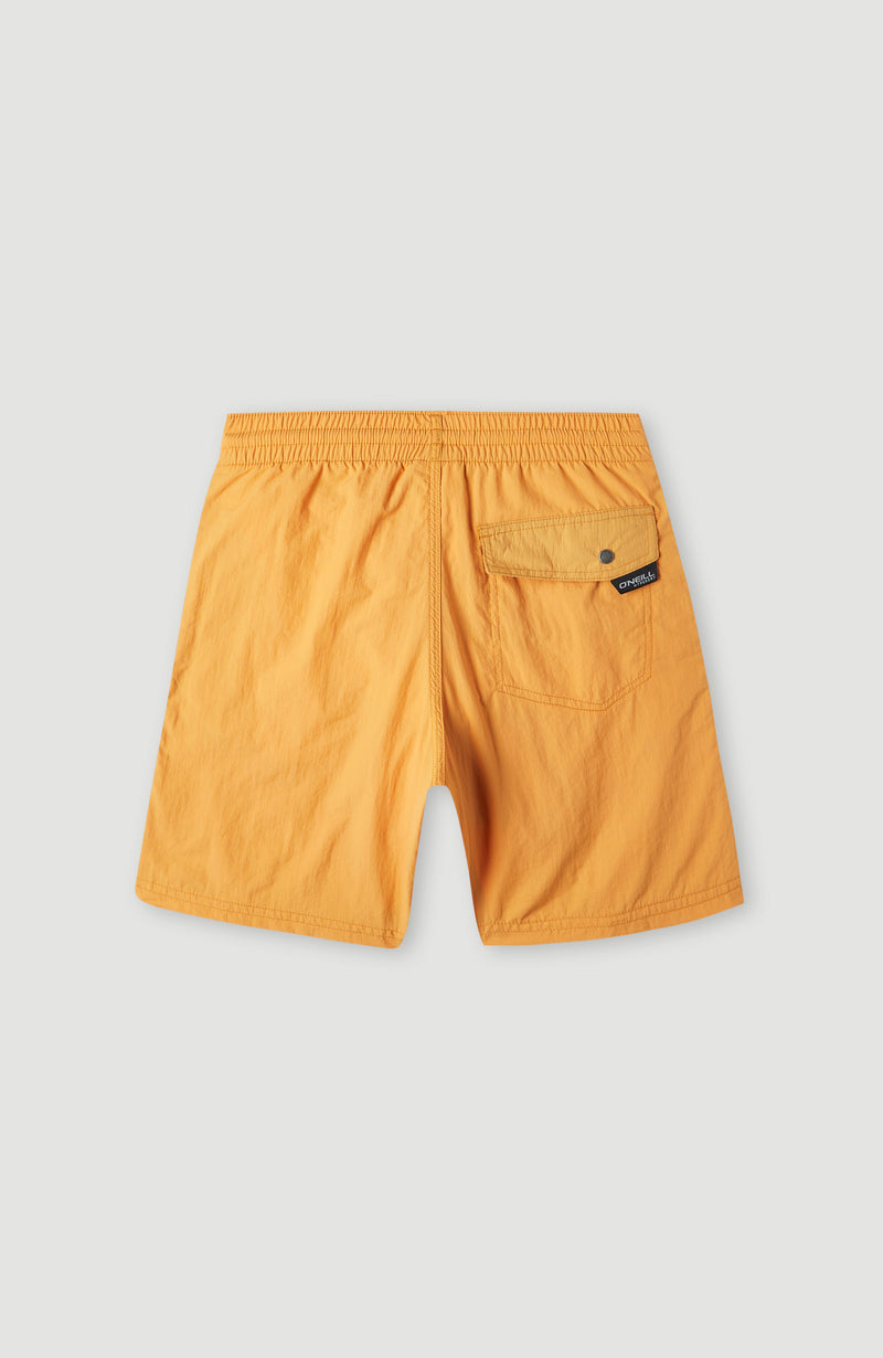 Oneill Kids Vert 14'' Swim Shorts | Brown