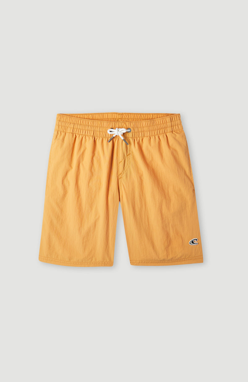 oneill Kids Vert 14'' Swim Shorts | Brown